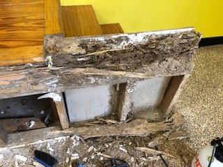 TERMITE DAMAGE