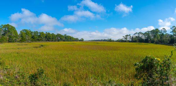 There are fields of marshland.  Look so good you want to just wade into it.  Don't.  There are gators.