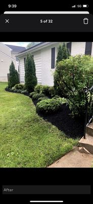 We clean up the flower beds and put down mulch and we trimming the bushes.