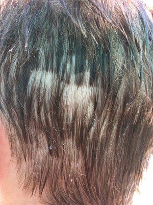 This is what my son's head looks like after getting his hair cut at Boulder Supercuts on Iris at Safeway Center.