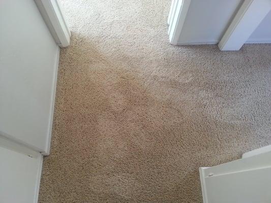 No more cheap carpet spot cleaner bleach marks