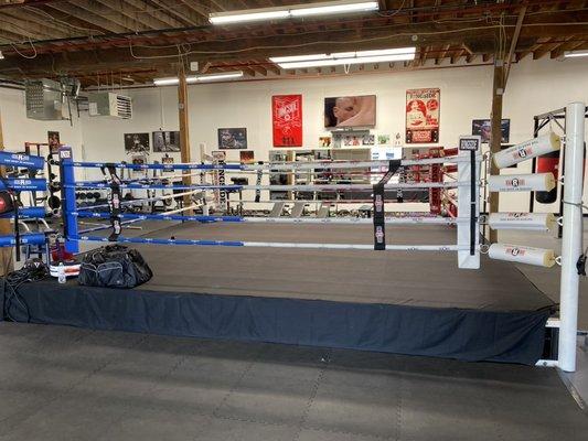 Boxing Ring