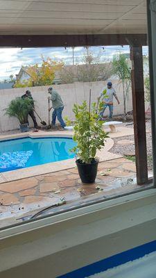 Digging a hole for a baby palm tree I bought at Lowe's.