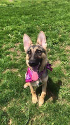 Luna outside the motel! Happy as a clam!