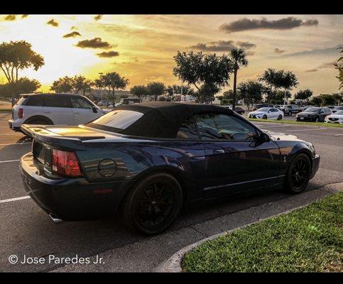 My 2004 Cobra Terminator ceramic tint done by Budget Tint!