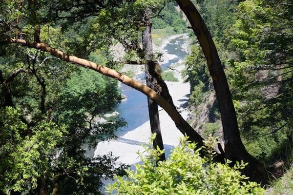 South Fork of the Eel River that runs for two miles through Standish-Hickey State Recreation Area.  Camp, Fish, Swim, Hike.