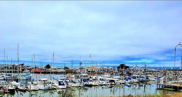 Moss Landing Park