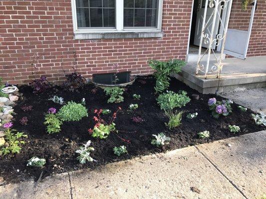 Perennials from my mother's garden filled in with annuals from Strader's