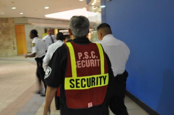 Professional Security Consultants