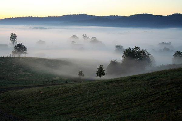 Morning Fog