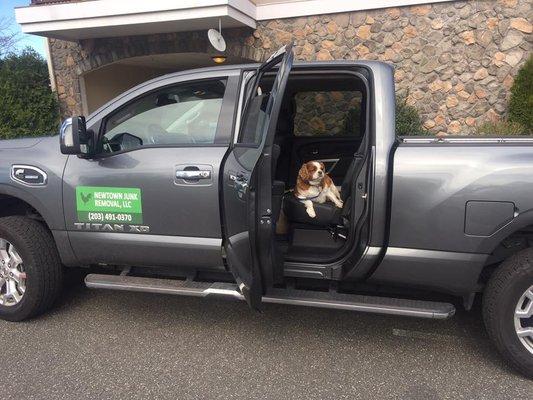 Our mascot.  His name is Marley.  He loves hugs and rides in the work truck.