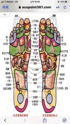 Reflex feet