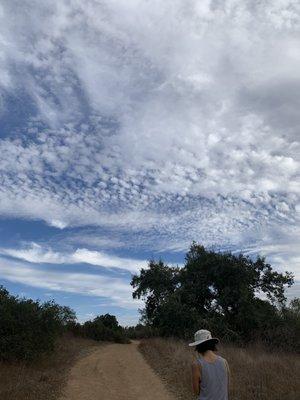 Santa Rosa Plateau Nature Education Foundation