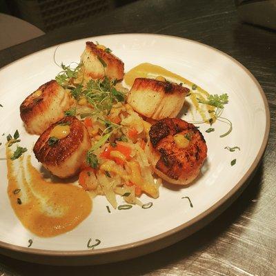 Scallops with Fennel and tomatoes