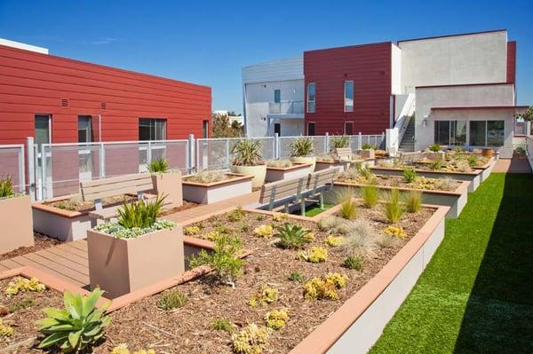 Eco-roof at Cedar Gateway