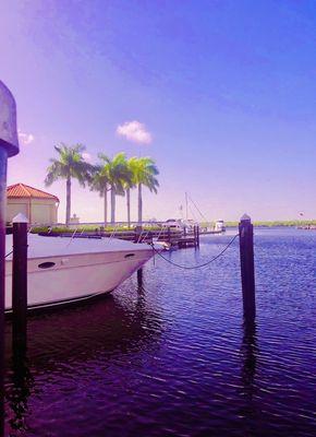 Wednesday morning walk at the Marina.