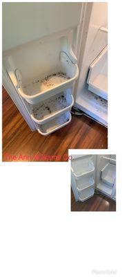 Before and After photo of the removal of mold and a thorough sanitation of a refrigerator.