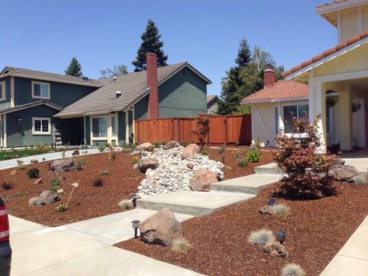 Drought tolerant landscape