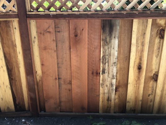 The three redwood panels he replaced after boards bent, next to the ugly pressure treated wood he used.