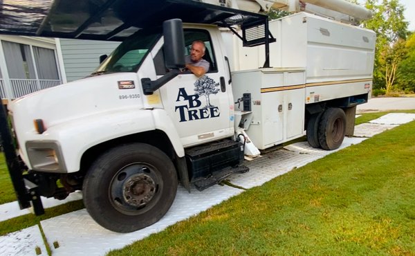 AB Tree Service