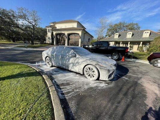 Lexus received a super sudz bath!