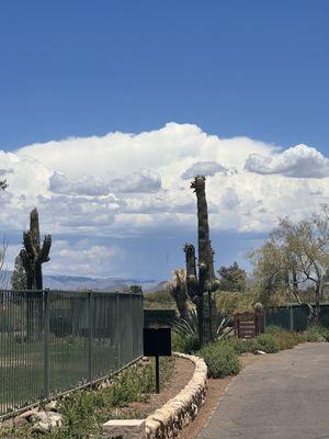 These clouds brought rain, wind, and floods. We heard the alert when we stopped at Basha's to pick up water and snacks for the drive home.