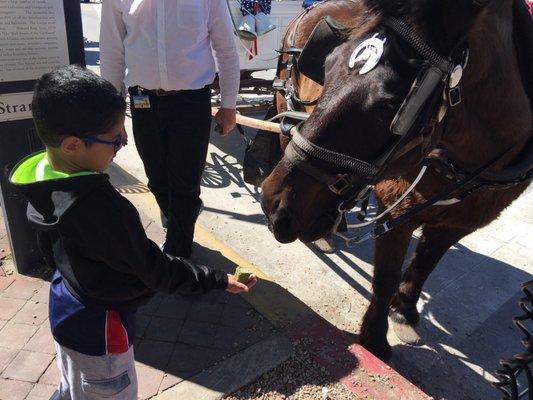 You get to feed the horses after your ride.