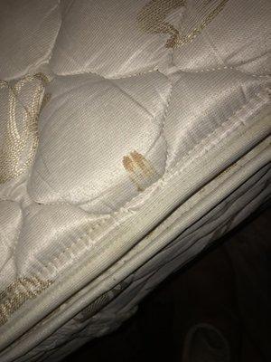 Questionable fluid on mattress