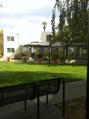 Inner gazebo and garden