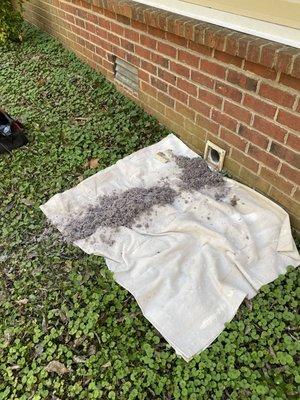 Dryer vent cleaning.