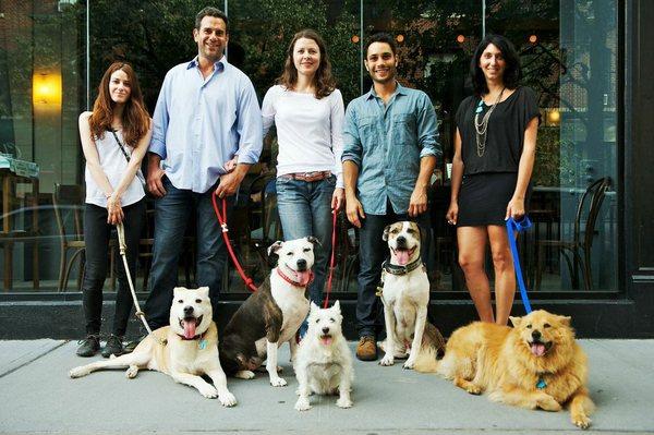 Our trainers, walkers and pet sitters.