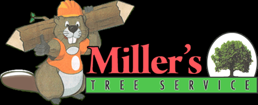 Miller's Tree Service