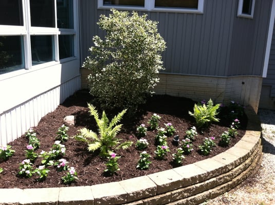 Landscaping - Annuals and plant installation