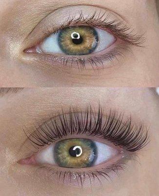 Classic Lashes