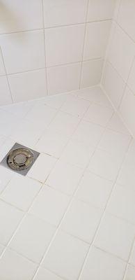 Your bathroom tile can be restored.