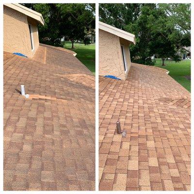 Shingle roof cleaning