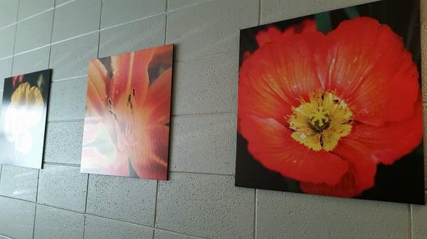 Pretty flower art.  (The Yonic implications are not lost on me.)