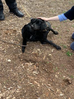 K9 Raider always accepts scratches!