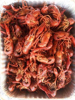 Crawfish