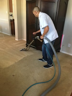 Masters Carpet Cleaning