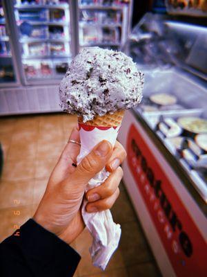 Mint Chocolate Chip on a sugar cone