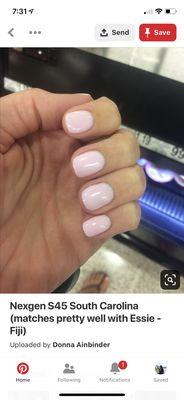 This is the photo I showed the nail tech 3 times and was assured this exact color and it was most definitely not.