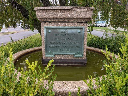 Horse Water Fountain