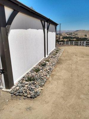 Lantanas planted around storage to bring color to area.