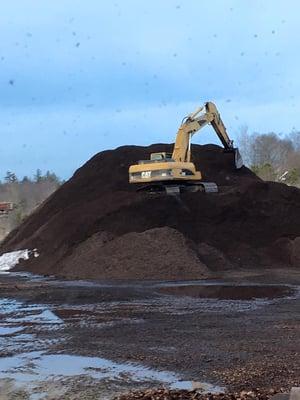 Cocoa Brown Mulch