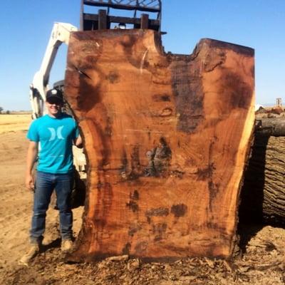 This Huge Black Walnut slab is soon to be a custom headboard in a home in Lake Tahoe, Ca.