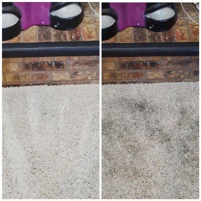 Rug area cleaning