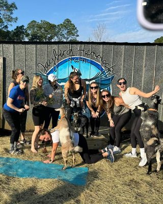 Bridal party at Goat yoga