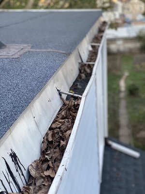 Gutter Cleaning