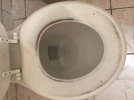 The toilet bowl's black markings.